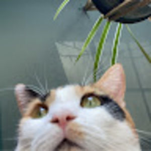 Meet your Posher, Simonne